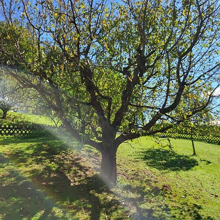 Ferienhaus Zangl Am Seggauberg - Suedsteiermark Leibnitz Kültér fotó