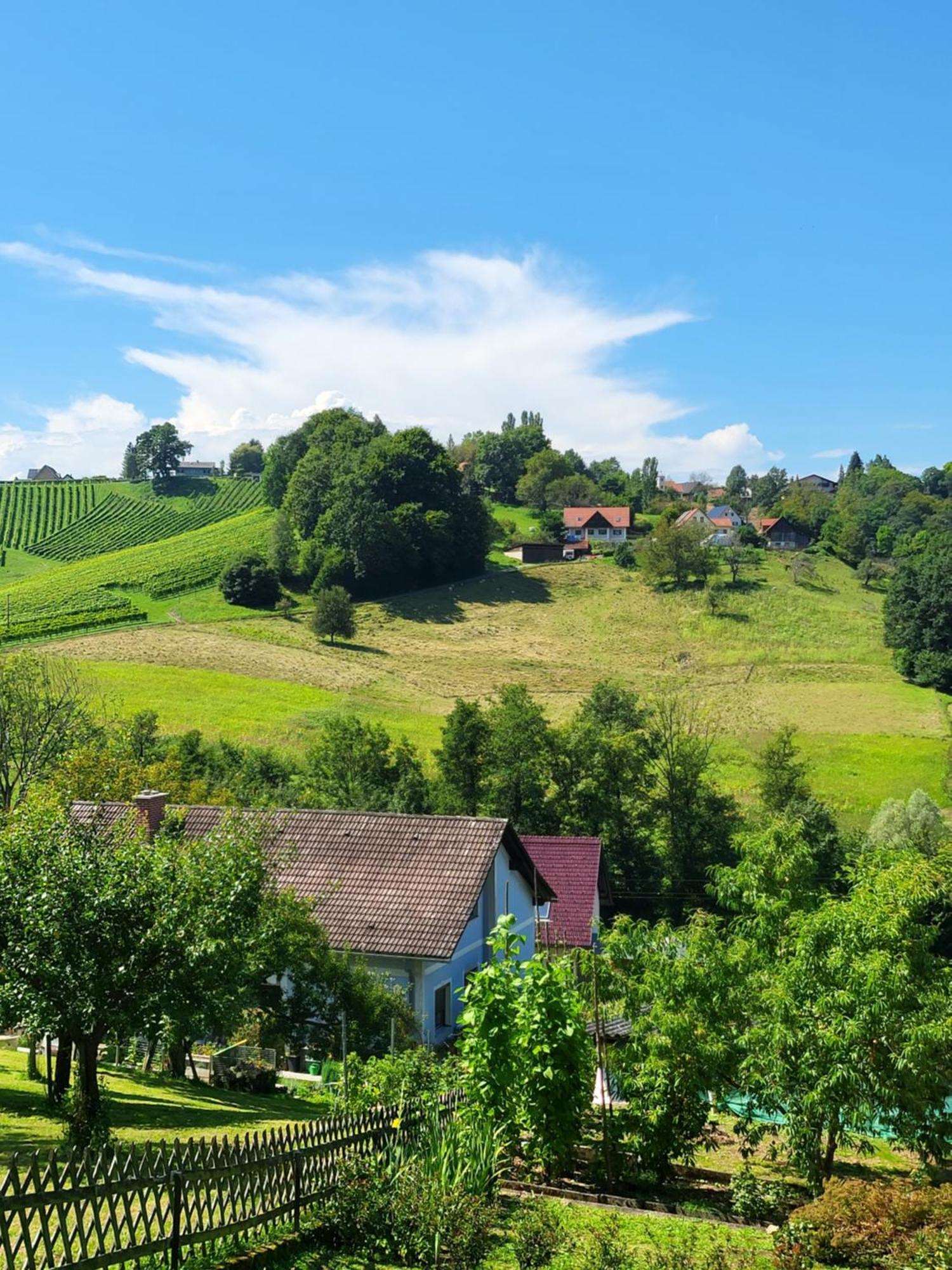 Ferienhaus Zangl Am Seggauberg - Suedsteiermark Leibnitz Kültér fotó