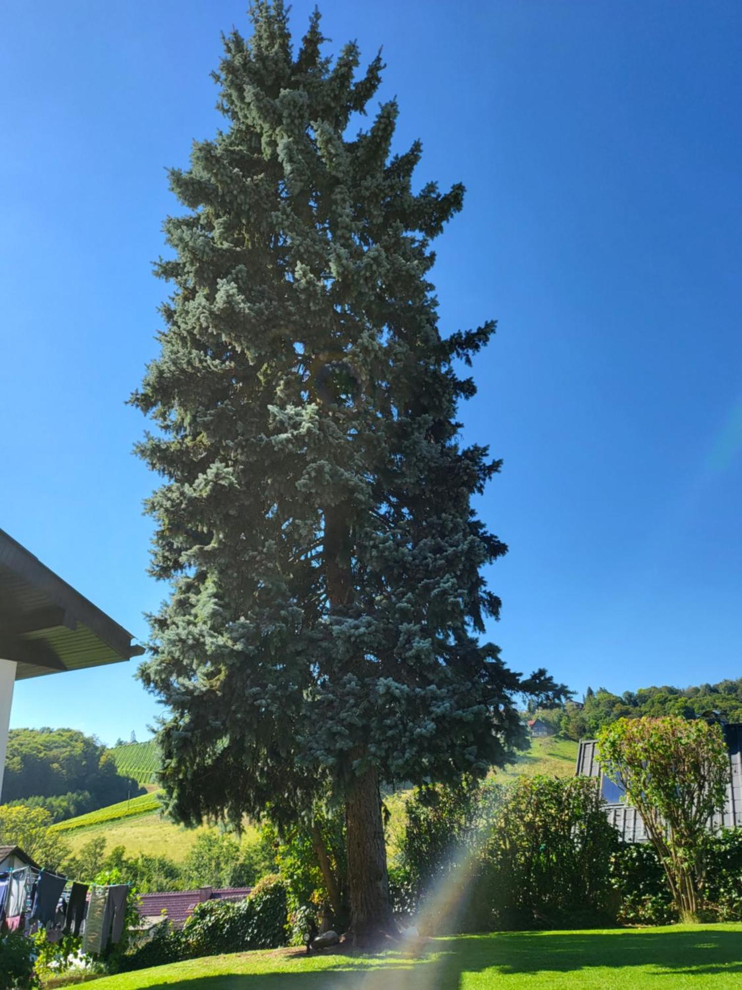 Ferienhaus Zangl Am Seggauberg - Suedsteiermark Leibnitz Kültér fotó